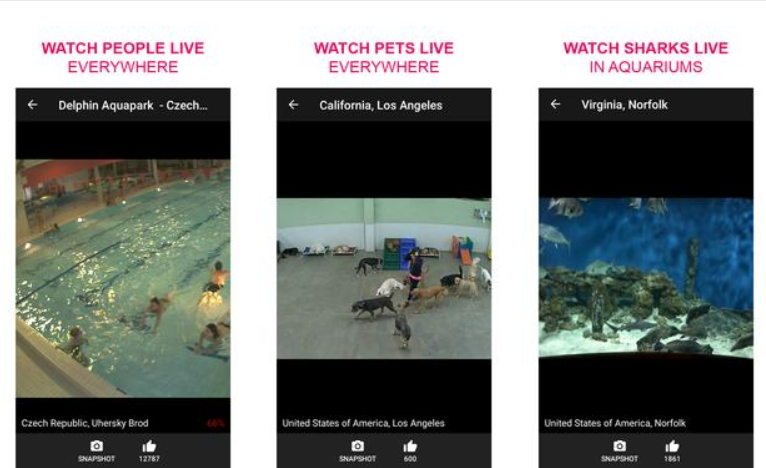Live Camera Viewer App For PC