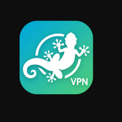 Gecko VPN for PC